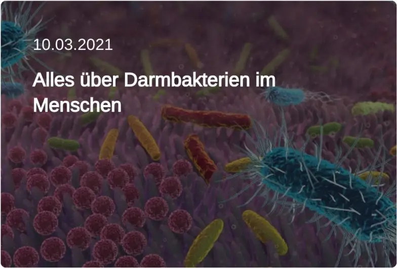 Alles über Darmbakterien im Menschen